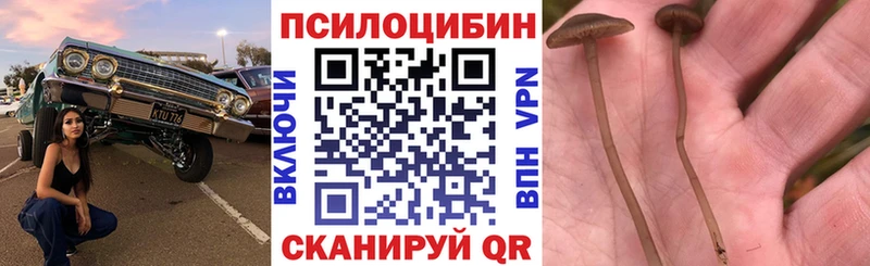 ОМГ ОМГ зеркало Октябрьский Галлюциногенные грибы GOLDEN TEACHER